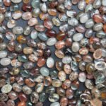 2026_04_03_16_56_55_IMG_2314